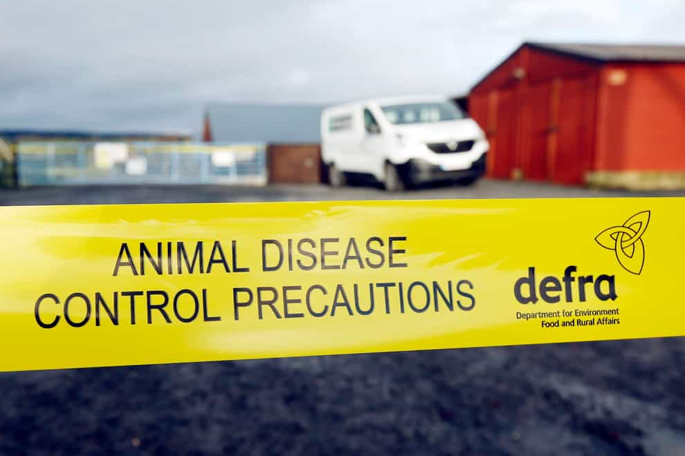 Millions of captive birds have either died of bird flu or been culled for disease control, Defra said (Danny Lawson/PA)