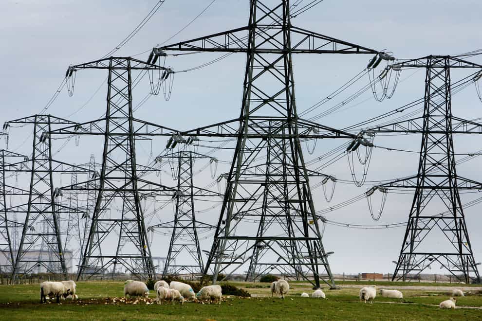 Electricity supply margins are expected to be tighter than usual during peak hours on Monday (Gareth Fuller/PA)