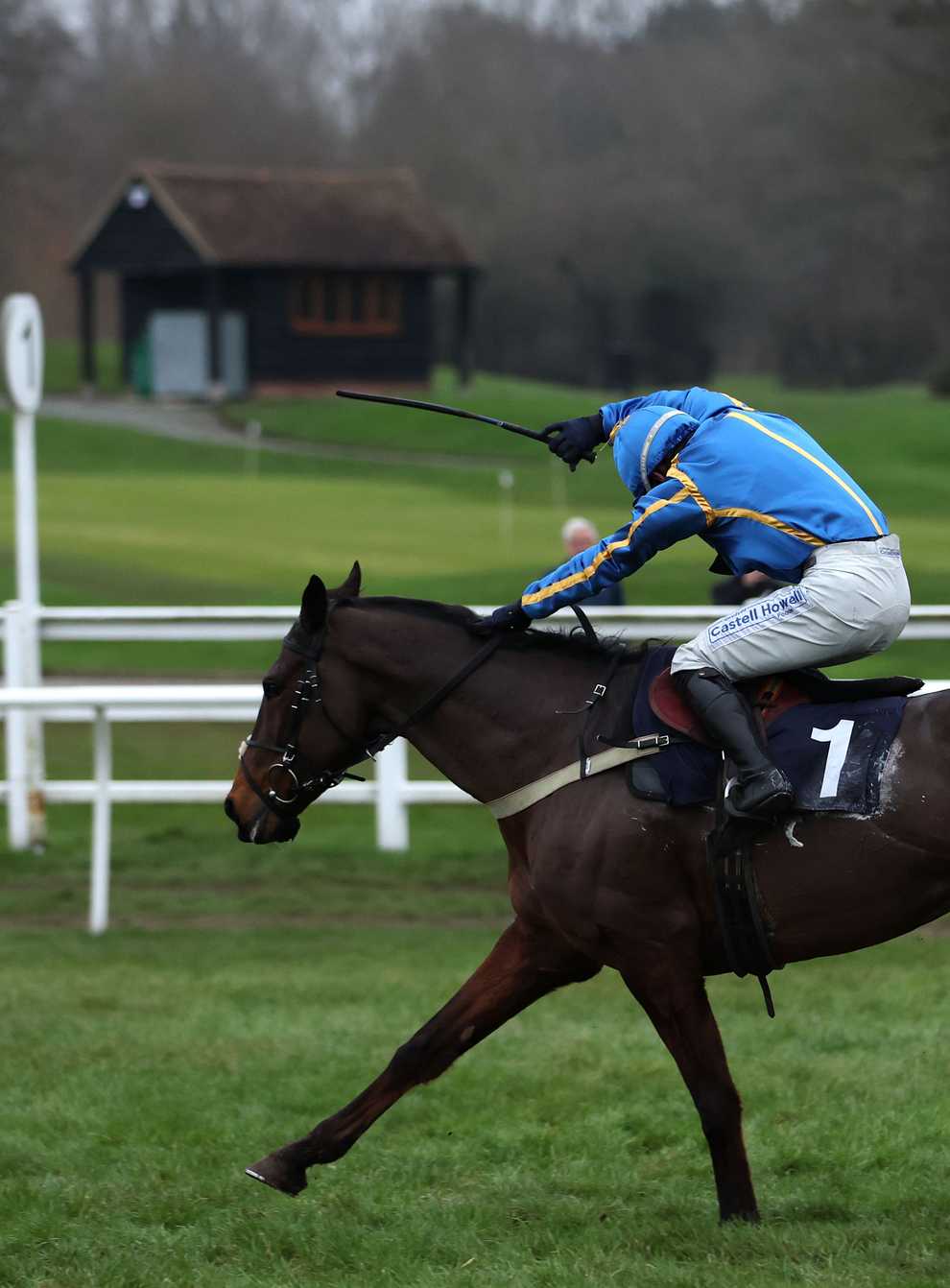 The Galloping Bear could have the Midlands National in his sights (Steven Paston/PA)