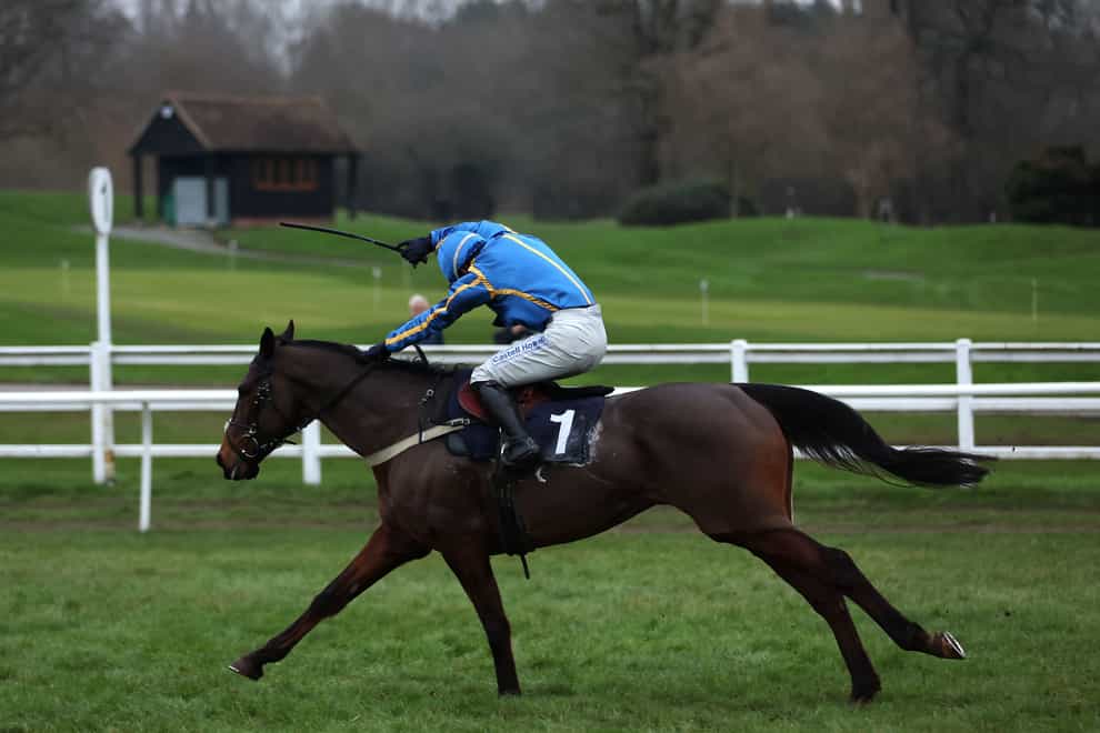 The Galloping Bear could have the Midlands National in his sights (Steven Paston/PA)