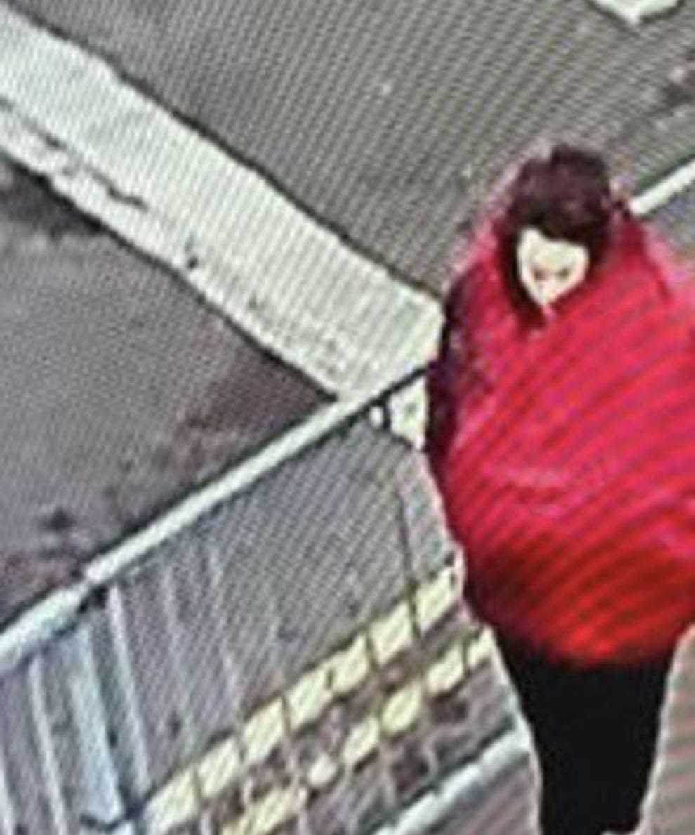Constance Marten is missing with her newborn baby and partner Mark Gordon (Greater Manchester Police/PA)