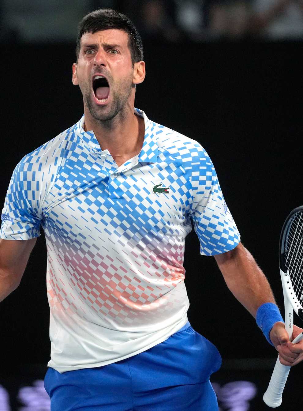 Novak Djokovic celebrates during his win over Andrey Rublev (Dita Alangkara/AP)