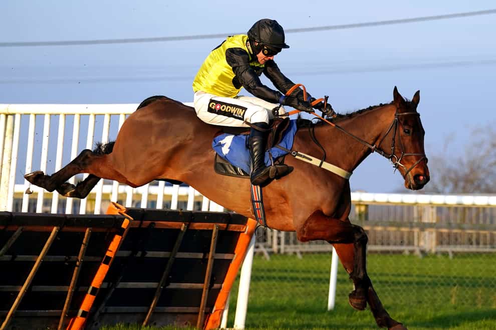 Aucunrisque seems set to bypass the Lightning Novices’ Chase in favour of the Betfair Hurdle (David Davies/PA)