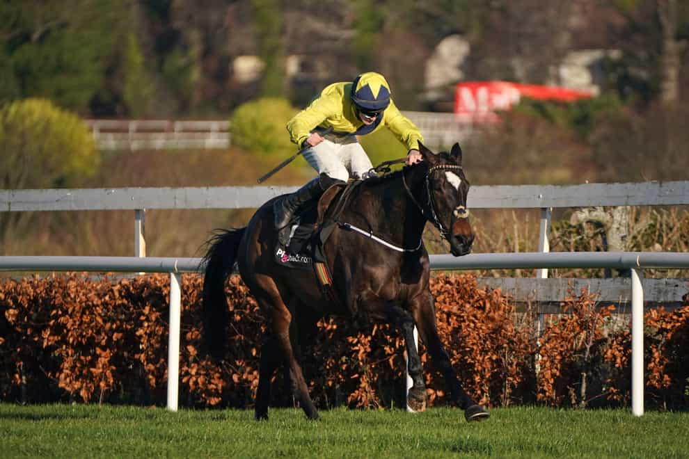 Good Land ridden by jockey Michael O’Sullivan wins the Pigsback.com Maiden Hurdle during day four of the Leopardstown Christmas Festival at Leopardstown Racecourse in Dublin, Ireland (Niall Carson/PA)