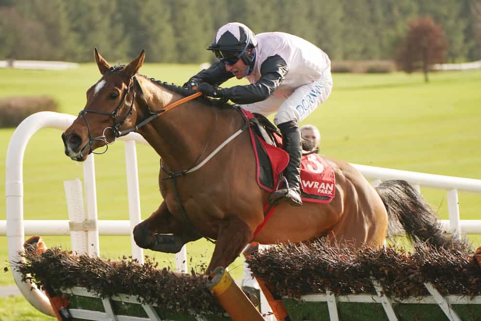 Teahupoo was a clear winner of the Galmoy Hurdle (Niall Carson/PA)