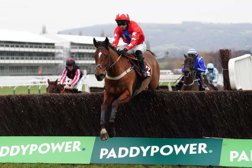 Editeur Du Gite ridden by Niall Houlihan clears a fence before going on to win the Albert Bartlett Clarence House Chase during Festival Trials Day at Cheltenham Racecourse (David Davies/PA)