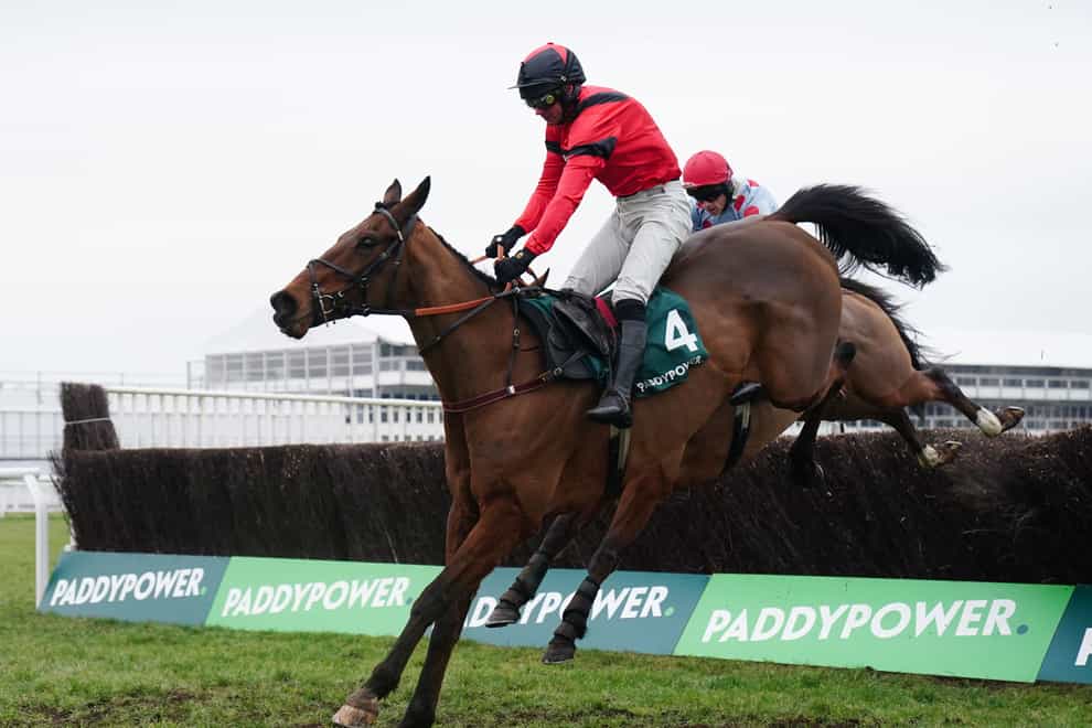 Ahoy Senor ridden by Derek Fox clears the last before going on to win the Paddy Power Cotswold Chase during Festival Trials Day at Cheltenham Racecourse (David Davies/PA)