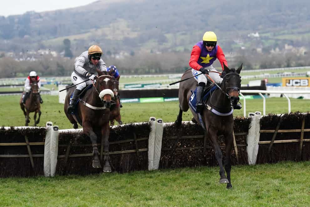 Gold Tweet ridden by Johnny Charron (left) before going on to win the Dahlbury Stallions At Chapel Stud Cleeve Hurdle during Festival Trials Day at Cheltenham Racecourse (David Davies/PA)