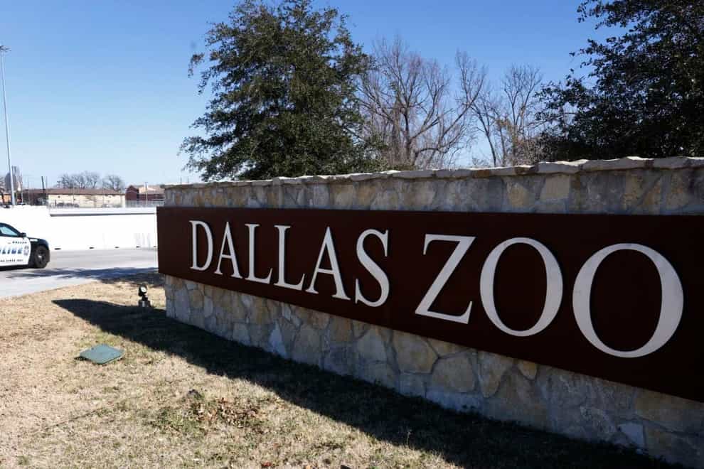 A police car sits at an entrance at Dallas Zoo (Shakfat Anowar/The Dallas Morning News/AP)