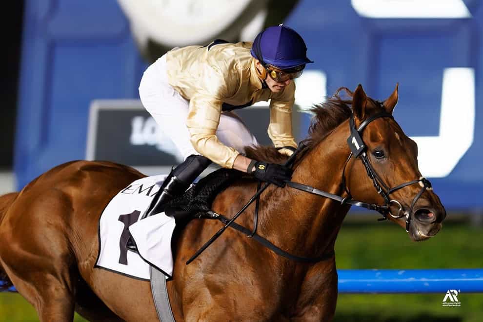 Algiers impressed once again at Meydan (Emirates Racing Authority)