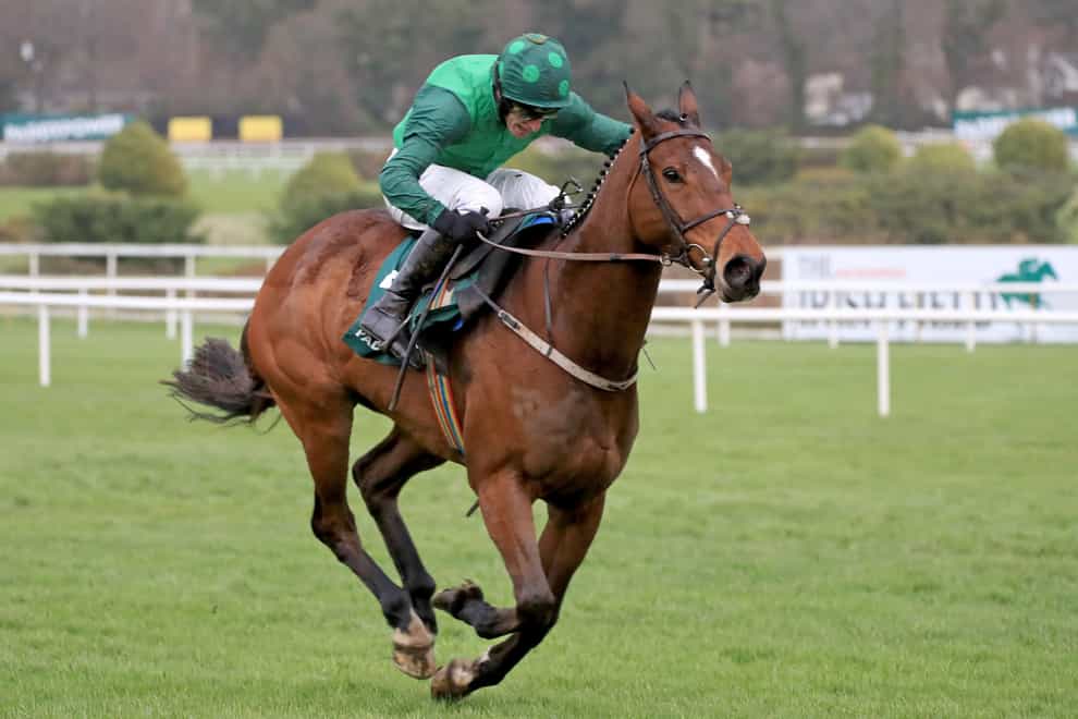 Blue Lord on his way to winning at Leopardstown last month (Donall Farmer/PA)