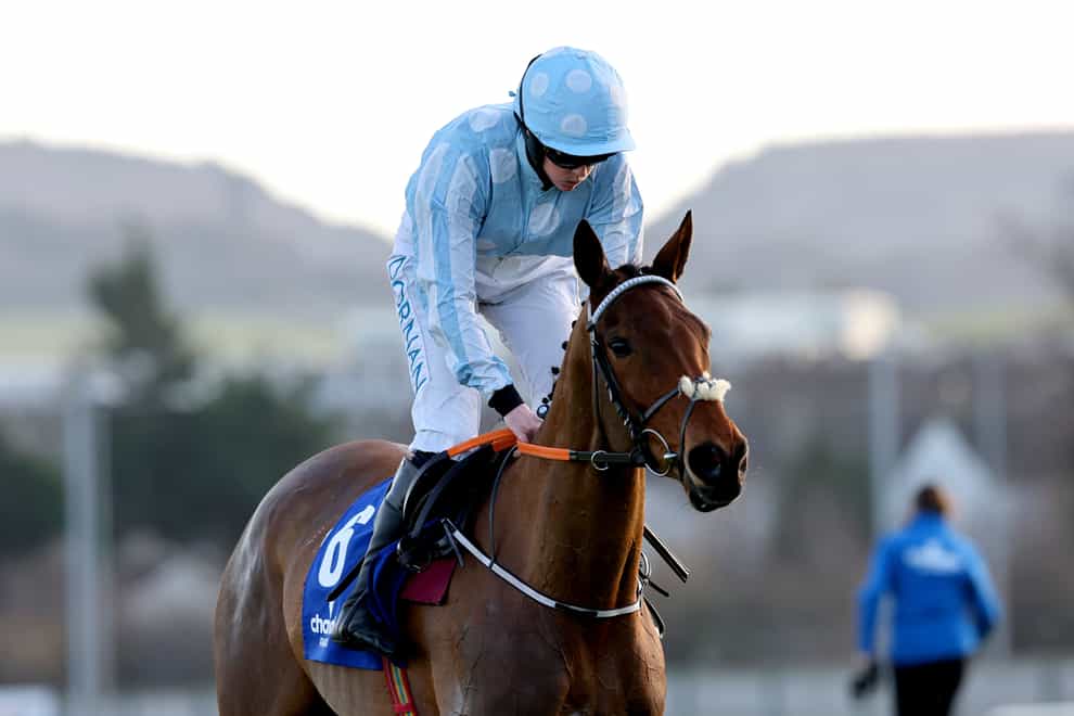 Honeysuckle had to settle for second at Leopardstown (Lorraine O’Sullivan/PA)