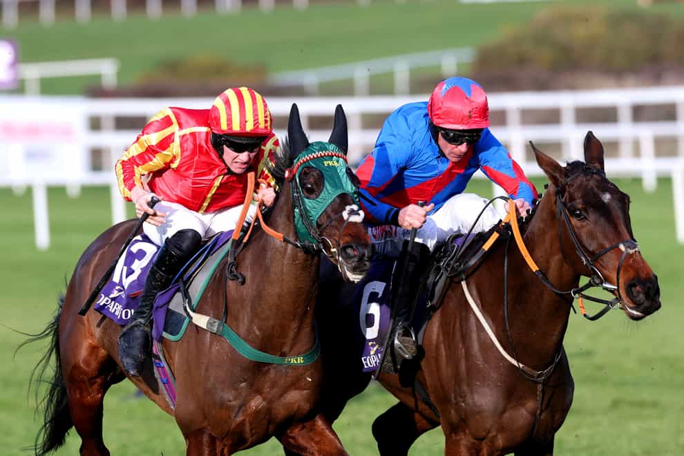 Top Ville Ben went down fighting when third at the Dublin Racing Festival (Lorraine O’Sullivan/PA)
