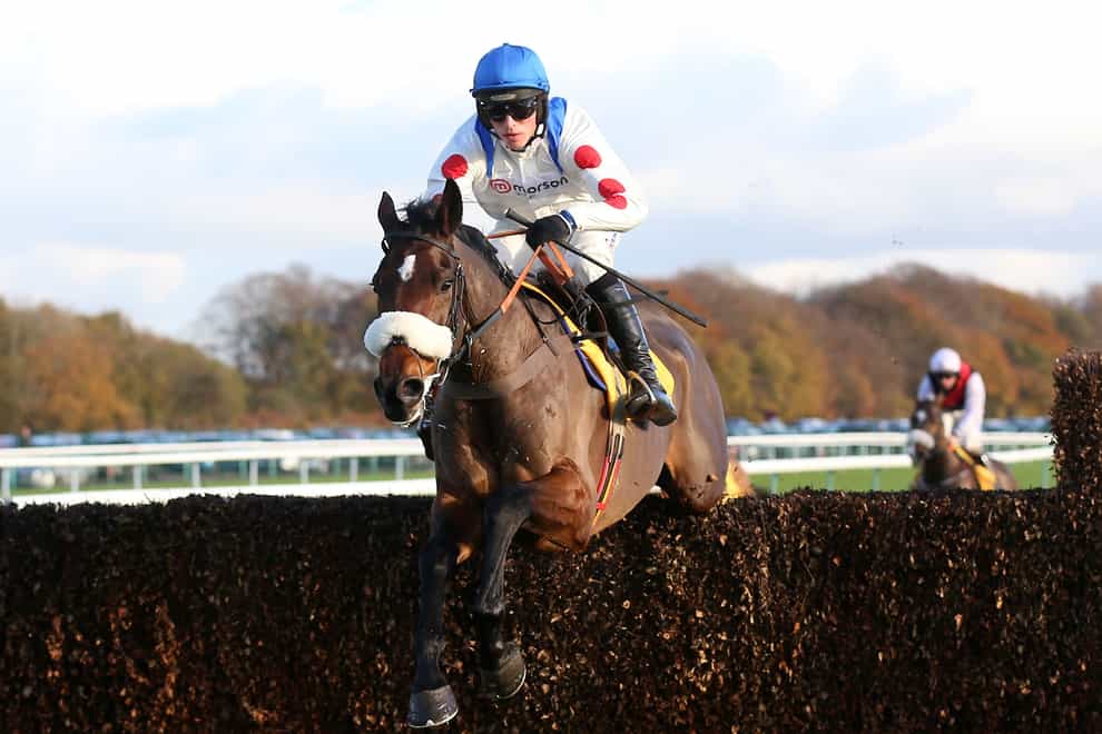 Hitman, here winning at Haydock, looks to put his King George disappointment behind him in the Betfair Denman Chase (Nigel French/PA)