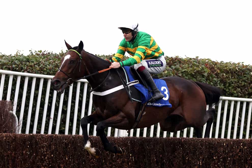 Jonbon Is out to cement his Arkle claims (Steven Paston/PA)