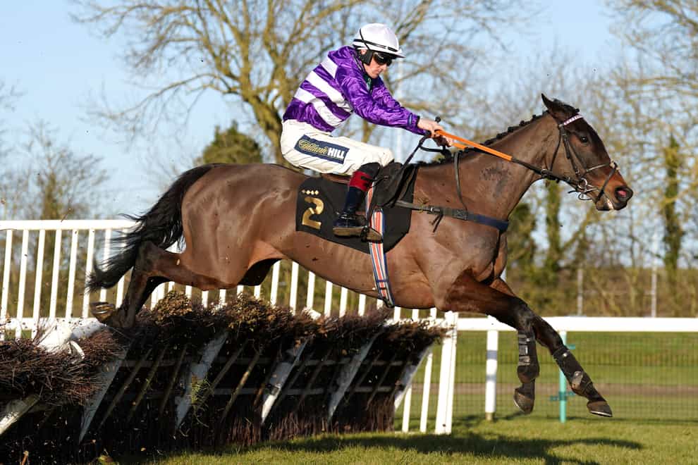Rare Edition, here on the way to finishing second in the Sidney Banks Memorial Novices’ Hurdle at Huntingdon, is reported to have scoped badly after the race (Tim Goode/PA)