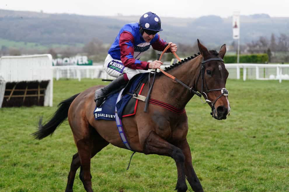 Paisley Park is aiming to reclaim his Stayers’ Hurdle title (David Davies/PA)