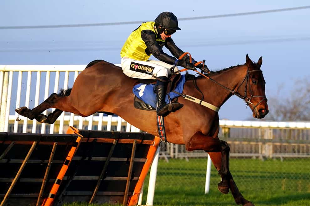 Aucunrisque will miss the Kingwell Hurdle after a bout of colic (David Davies/PA)