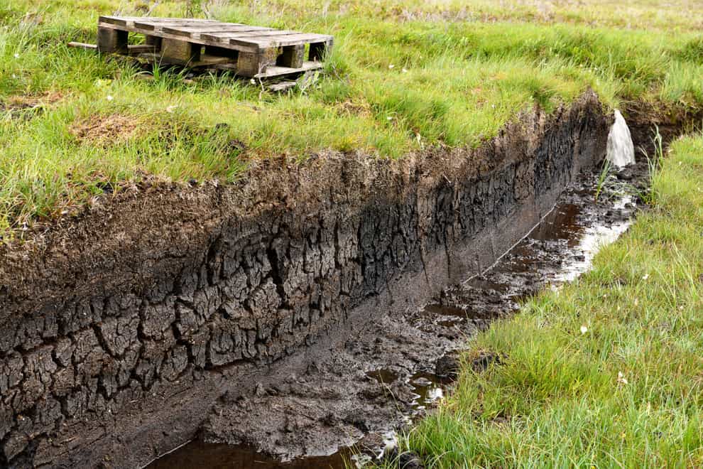 Peat releases carbon when it is extracted (Alamy/PA)
