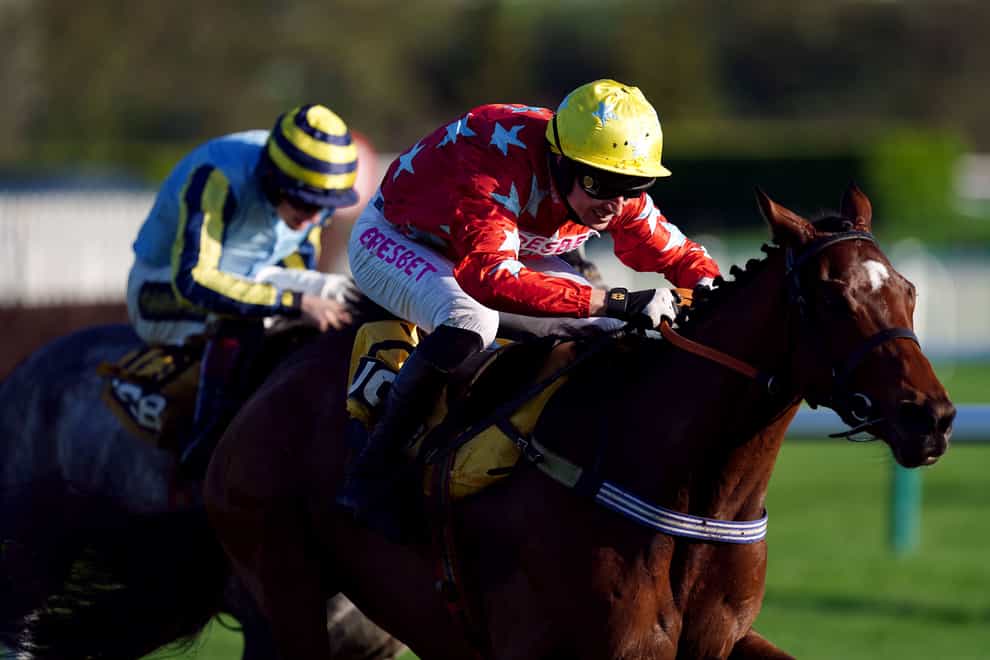 Scriptwriter ridden by jockey Paddy Brennan (white/red silks) on their way to winning the JCB Triumph Trial Juvenile Hurdle on day two of The November Meeting at Cheltenham Racecourse. Picture date: Saturday November 12, 2022. (David Davies/PA)