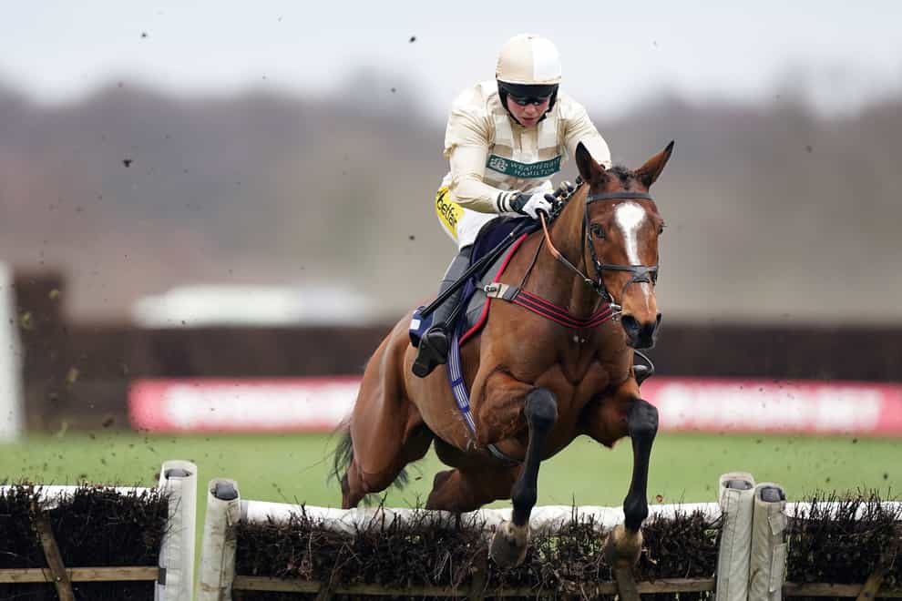 Hurricane Bay ridden by Bryony Frost on their way to winning the Virgin Bet EBF ‘National Hunt’ Novices’ Hurdle at Doncaster (Mike Egerton/PA)