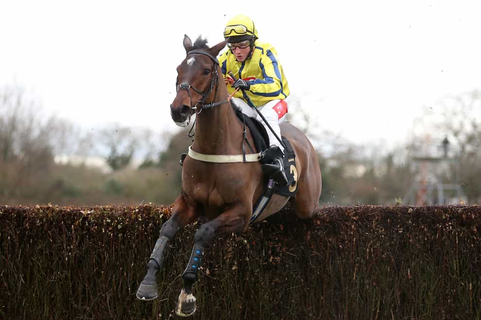 Haddex Des Obeaux, here winning at Warwick, will miss the rest of the season with injury (Nigel French/PA)