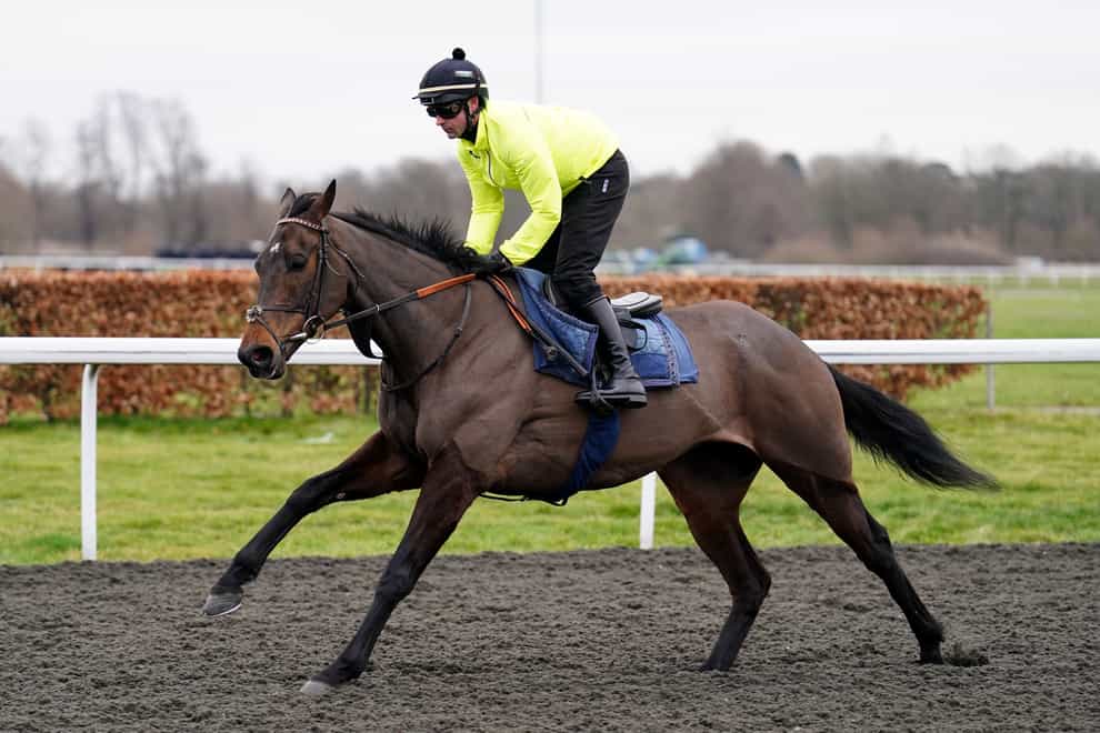 Nico de Boinville and Constitution Hill at Kempton on Tuesday morning (Zac Goodwin/PA)