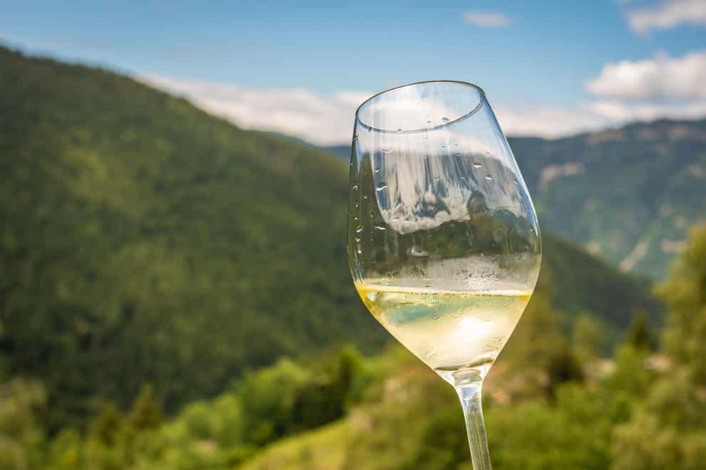 Sauvignon blanc is spring in a glass (Alamy/PA)