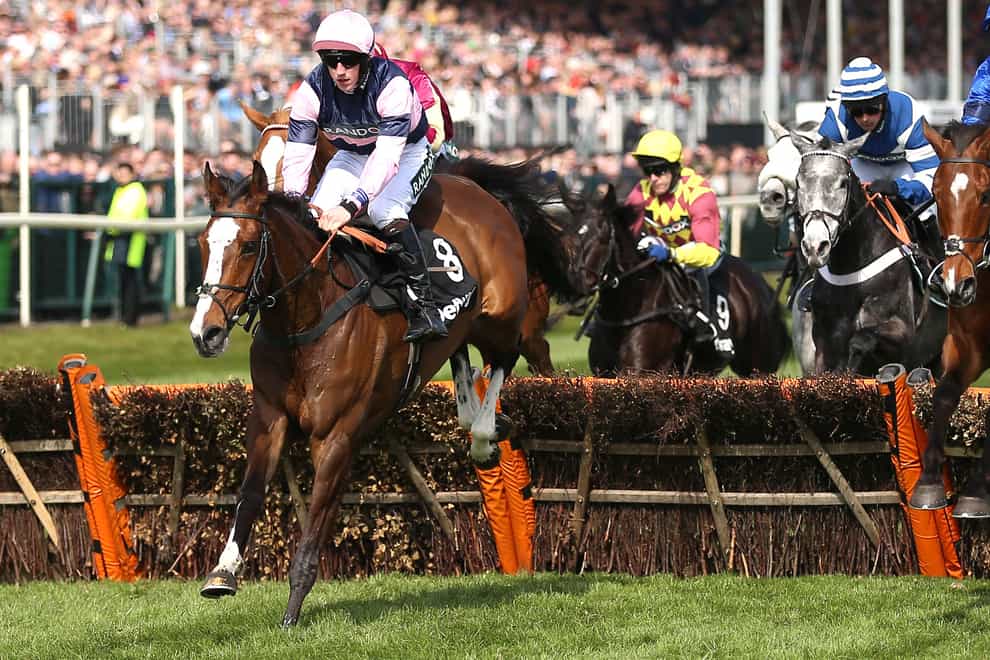 The Big Bite, here running over hurdles at Aintree, made a welcome return to the winner’s enclosure at Newbury (Nigel French/PA)