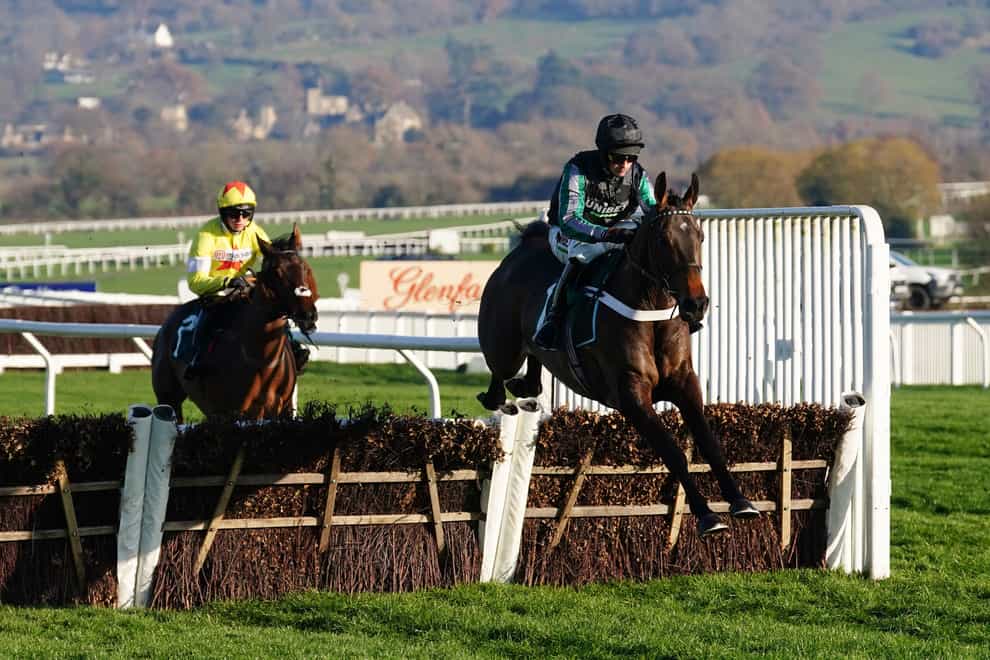 White markings on the frames, guard rails and take-off boards have been in place at Cheltenham this season (David Davies/PA)