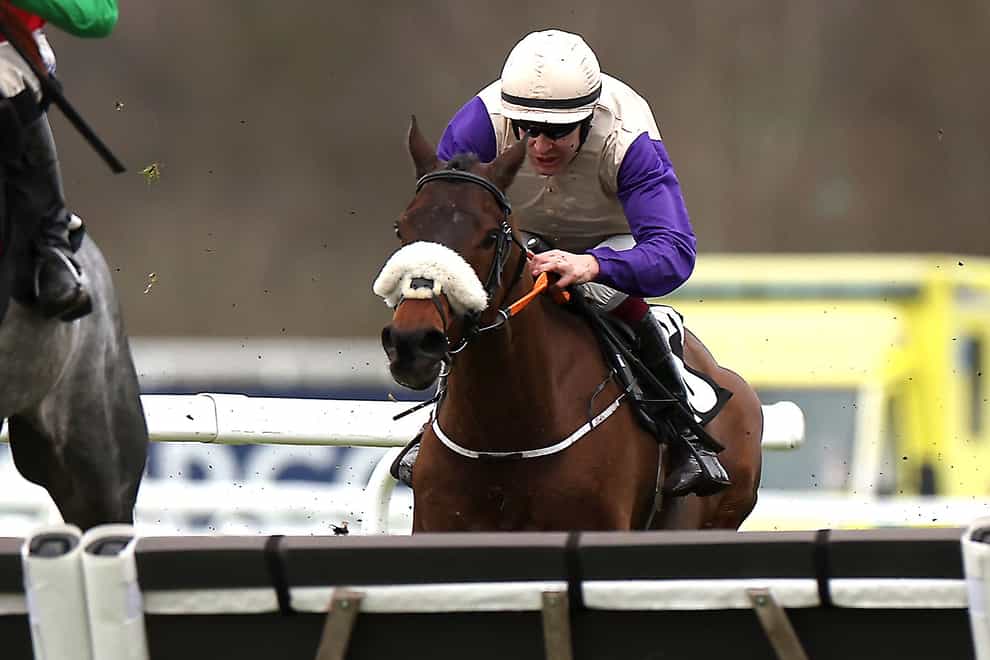 Zoffany Bay caught the eye when second at Ascot (Steven Paston/PA)