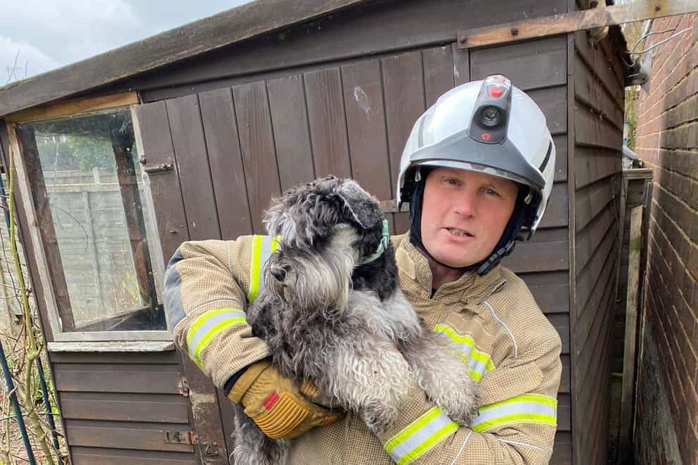 Firefighters have rescued a puppy after it followed its nose behind a shed and got trapped (Essex County Fire and Rescue Service/PA)