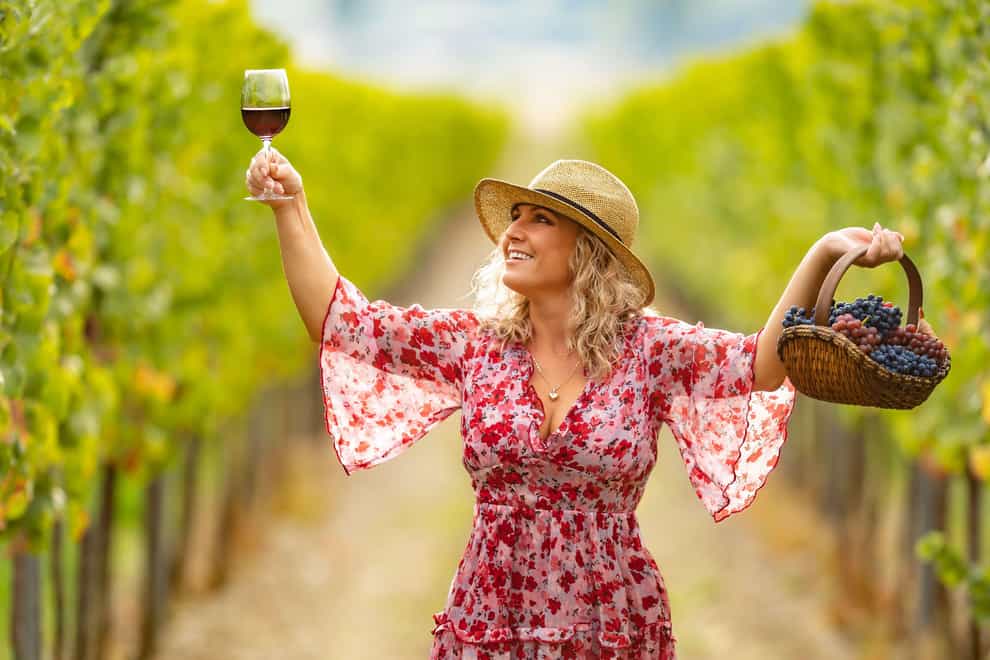 Female winemakers are on the rise (Alamy/PA)