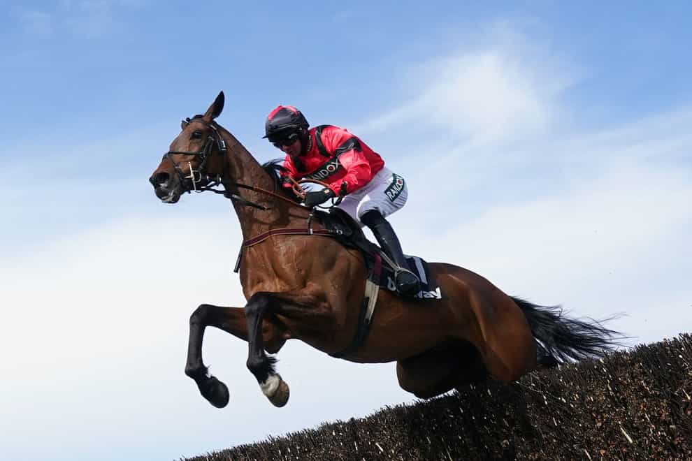 Connections of Ahoy Senor hope he will run a big race in the Cheltenham Gold Cup (Tim Goode/PA)