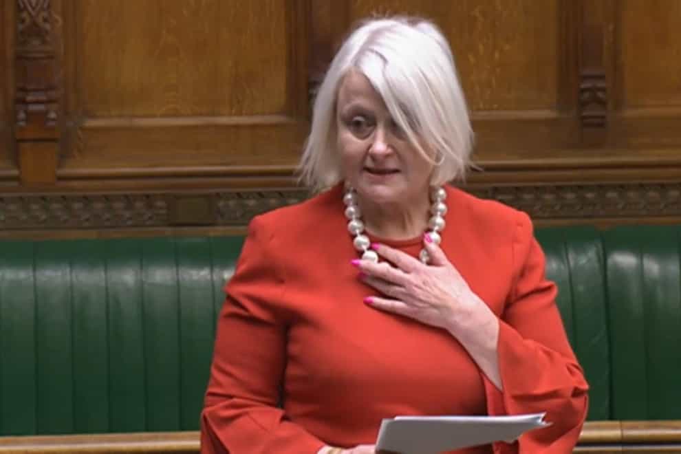 Labour MP Siobhain McDonagh addresses the House of Commons (PA)