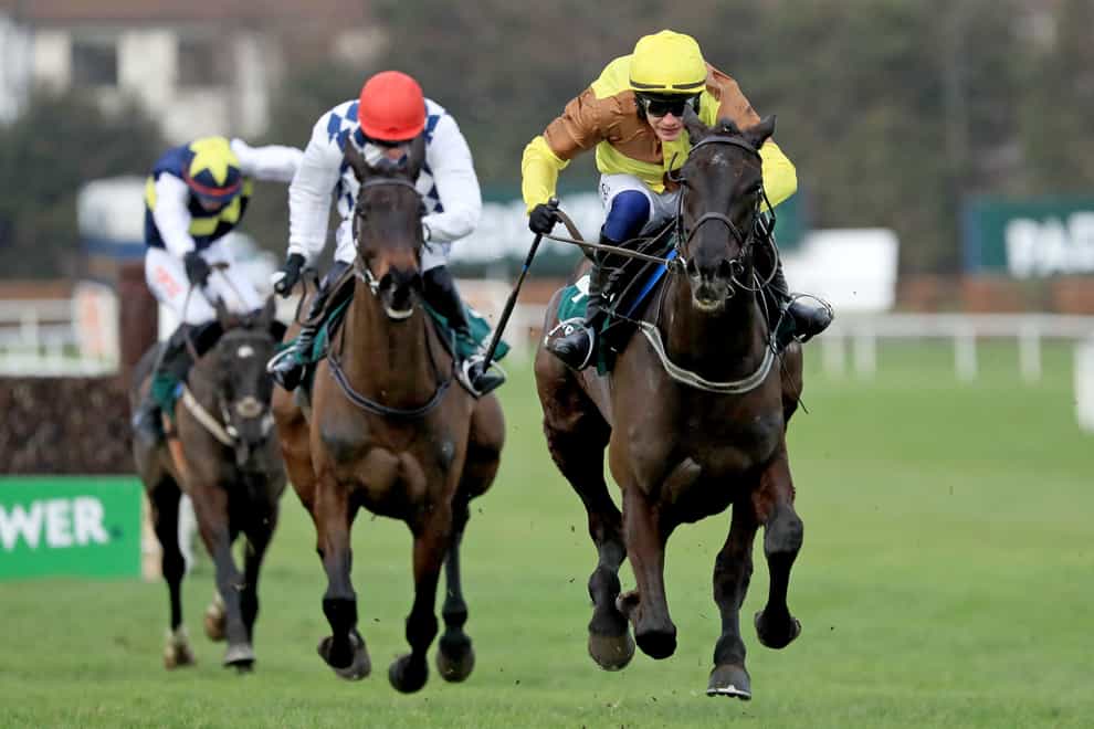 Galopin Des Champs (right) winning the Irish Gold Cup (Donall Farmer/PA)