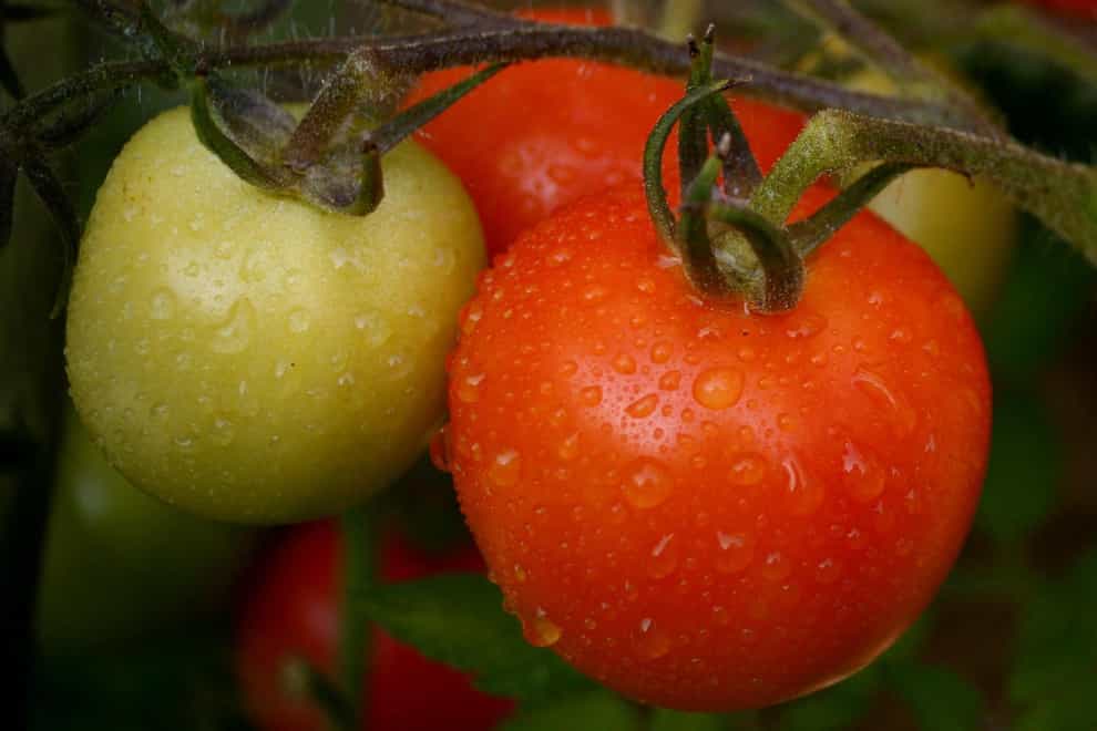 Aldi will lift restrictions on buying fresh produce (Gareth Fuller/PA)