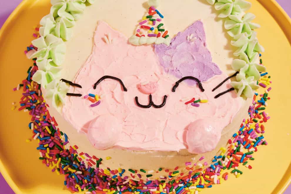 Kim-Joy’s happy purrthday cake (Ellis Parrinder/PA)