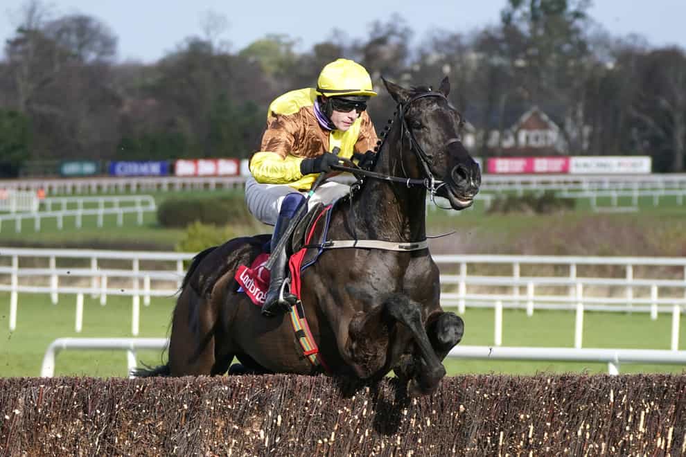 Galopin Des Champs is the Gold Cup favourite (Niall Carson/PA)
