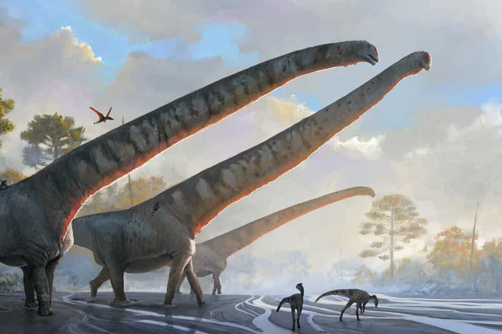 An artist’s impression of Mamenchisaurus sinocanadorum, which had a 15-metre-long neck (Julia d’Oliveir/Natural History Museum/PA)