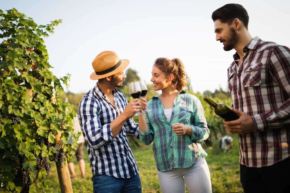 Win over friends with the perfect red (Alamy/PA)