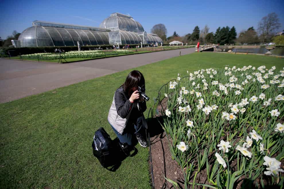 A visitor photographs a bank of flowers at Kew Gardens, London as the warm weather continues across the UK.