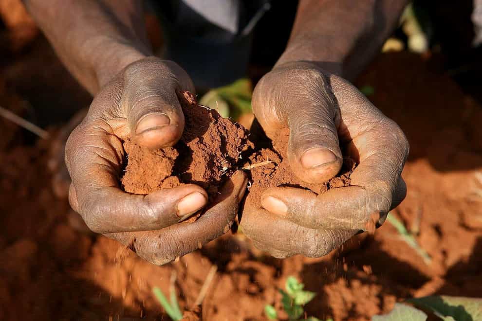Soil degradation could severely impact the world’s ability to grow food and mitigate climate change (Julien Behal/PA)