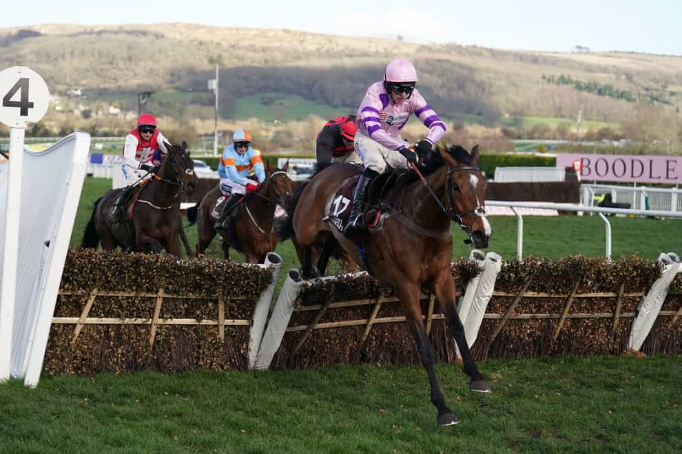 Stay Away Fay ridden by Harry Cobden on their way to winning the Albert Bartlett Novices’ Hurdle on day four of the Cheltenham Festival at Cheltenham Racecourse. Picture date: Friday March 17, 2023. (Mike Egerton/PA)