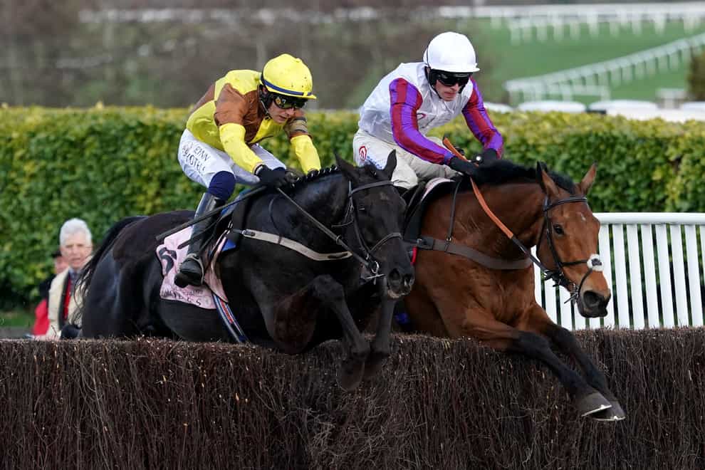 Bravemansgame (right) had to settle for second at Cheltenham (Tim Goode/PA)