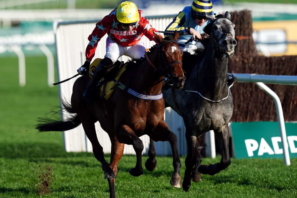Scriptwriter (left) ridden by jockey Paddy Brennan on their way to winning the JCB Triumph Trial Juvenile Hurdle on day two of The November Meeting at Cheltenham Racecourse. Picture date: Saturday November 12, 2022. (David Davies/PA)