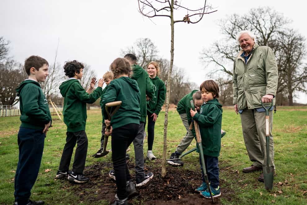 Sir David Attenborough plants a tree, in honour of Queen Elizabeth II, for the Queen’s Green Canopy in Richmond Park with schoolchildren (Aaron Chown/PA)
