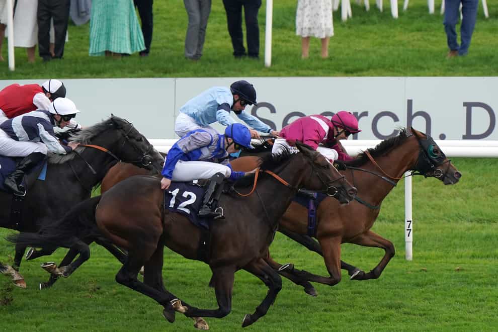 Atrium ridden by William Buick (light blue silks) on their way to winning the at Doncaster Racecourse. Picture date: Sunday September 11, 2022.