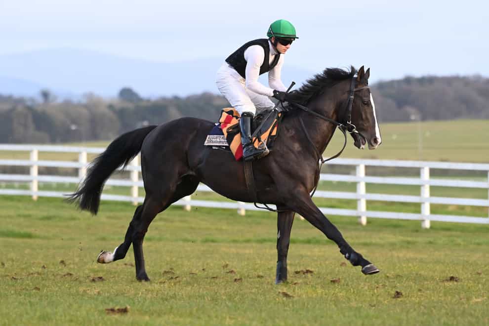 Classic hopeful Auguste Rodin is worked out by jockey Wayne Lordan at Curragh Racecourse, County Kildare. Picture date: Saturday March 25, 2023.