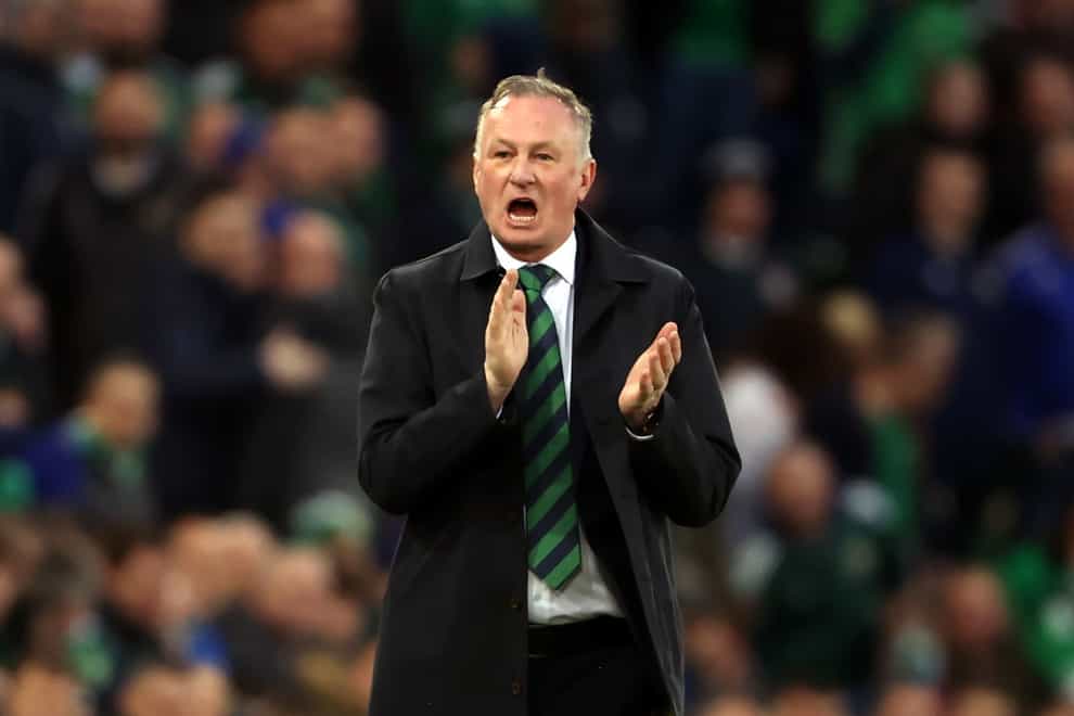 Michael O’Neill suffered defeat on his return to Windsor Park (Liam McBurney/PA)